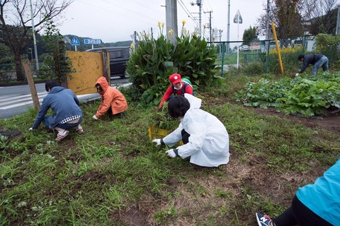 22894161_1594540527289694_6705412491755636175_n