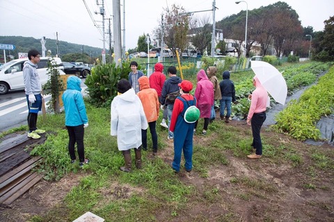 22815370_1594540503956363_731030505313595009_n