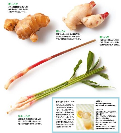 20708101_1522371107839970_1731441150536357207_n