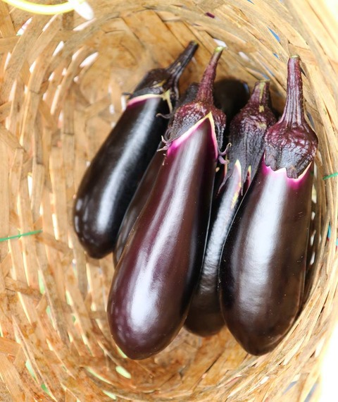 20292676_1508023805941367_3201798963242577214_n