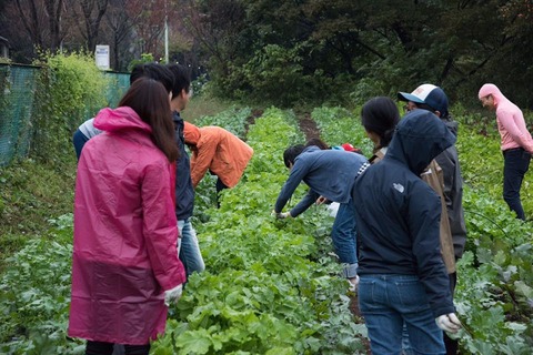 22815338_1594540550623025_3878029393299930686_n