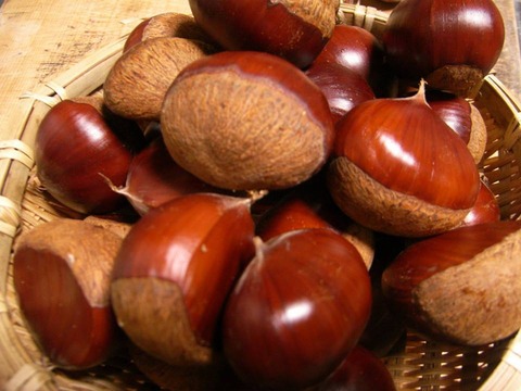 22406273_1577058119037935_5501422001139626841_n