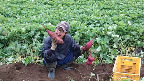 22137311_1313010885492474_3882475261734929650_o