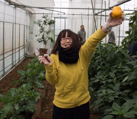 22450088_1580795751997505_698713526370983982_n