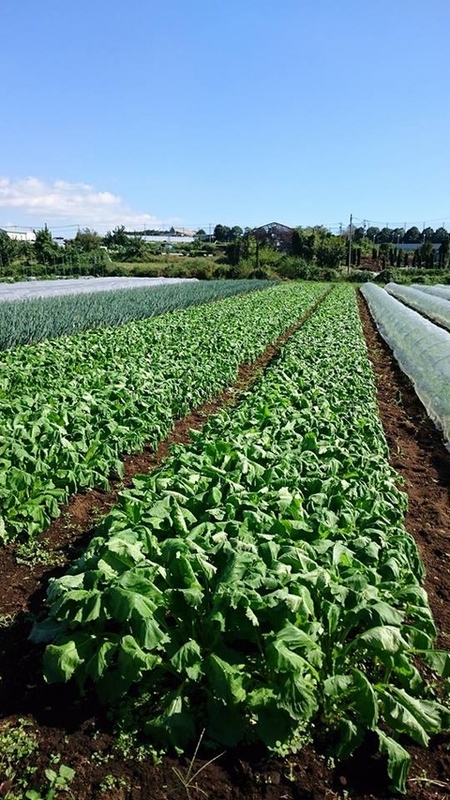 22008002_1310324889094407_4204339540688463108_n