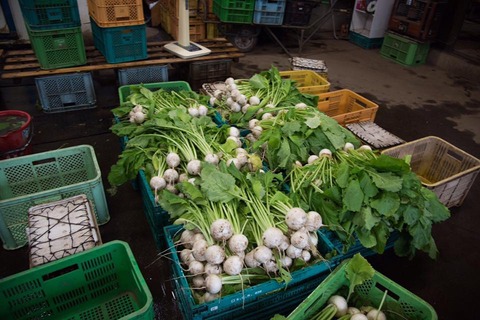 22489784_1580795891997491_9217364446426878906_n