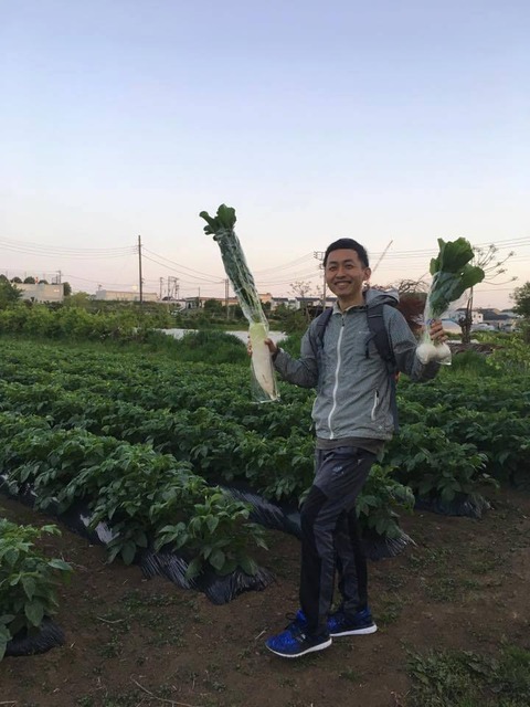 19225312_1471360896274325_6784442855584896592_n