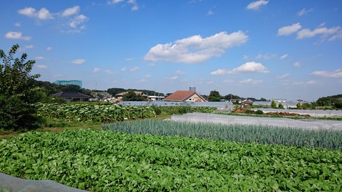 22135683_1310292105764352_797030595537255937_o