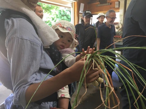 18881881_1457777917632623_4563489489850869857_n