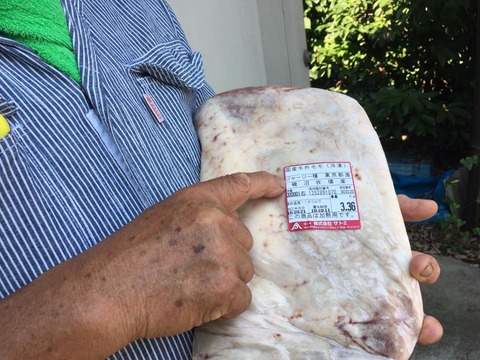 19105906_1468582149885533_379071622715781151_n