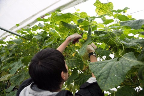 22528454_1580795755330838_6547000426058638726_n