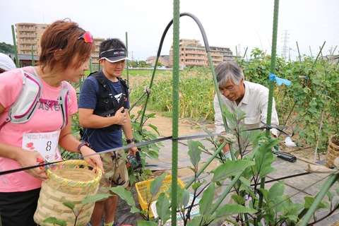 20247883_1508023682608046_1346714988043565554_o