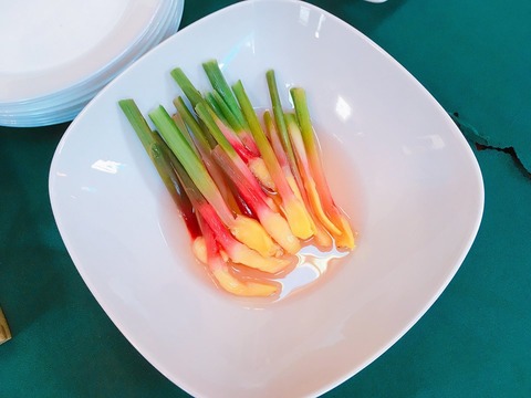 21231925_1543821319028282_1372244975437882206_n