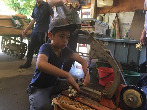 18893162_1457777837632631_2363054652662158454_n