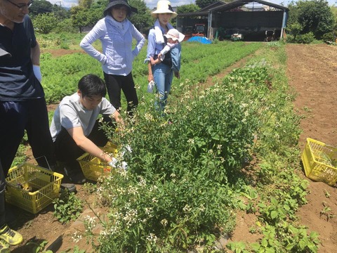 18951427_1457777527632662_2833194170816789136_n