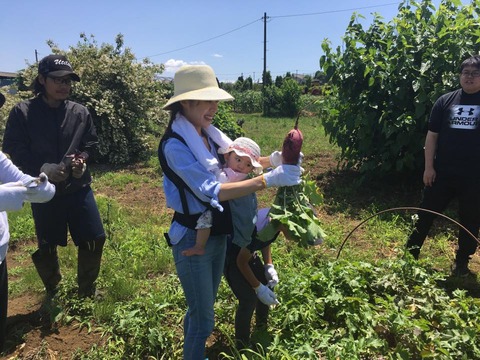 18882093_1457777677632647_6273230828851272379_n