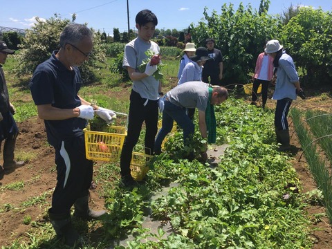 18882047_1457777614299320_2544723700720127386_n