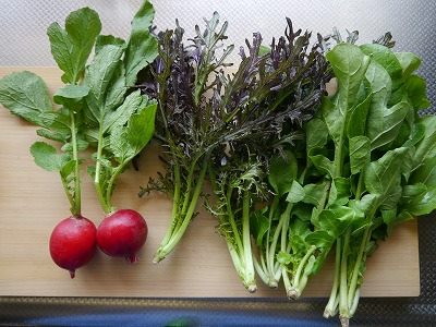 f:id:hatakai802:20181229174758j:plain f:id:hatakai802:20181229174758j:plain