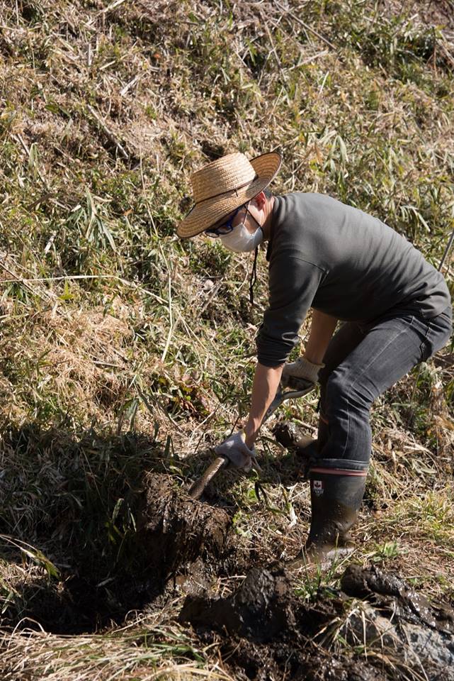 f:id:hatakai802:20181229180840j:plain