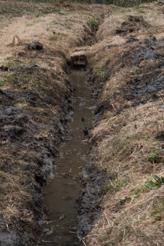 f:id:hatakai802:20181229181059j:plain