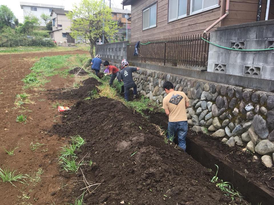 f:id:hatakai802:20181230184610j:plain