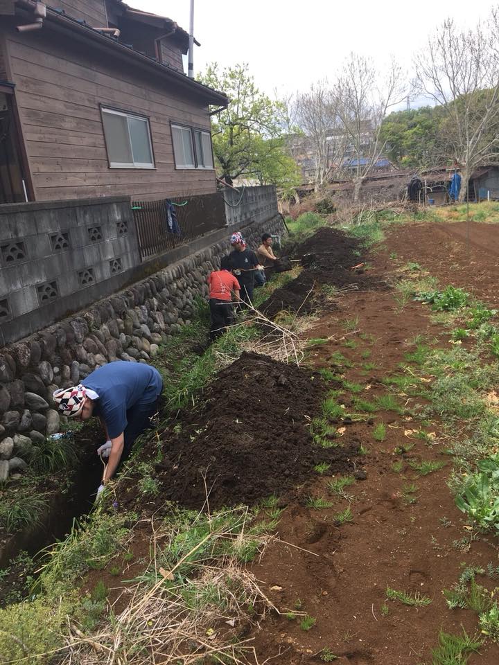 f:id:hatakai802:20181230184656j:plain