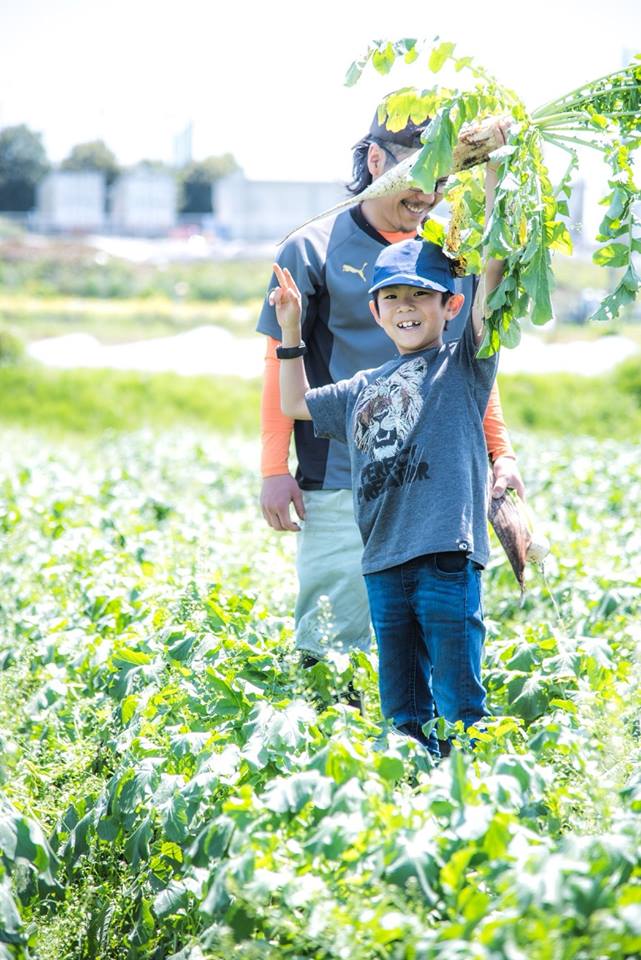 f:id:hatakai802:20181230210744j:plain