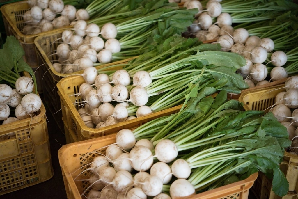 f:id:hatakai802:20181230210818j:plain