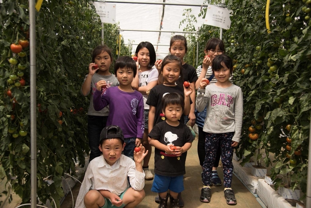 f:id:hatakai802:20181231135104j:plain f:id:hatakai802:20181231135104j:plain