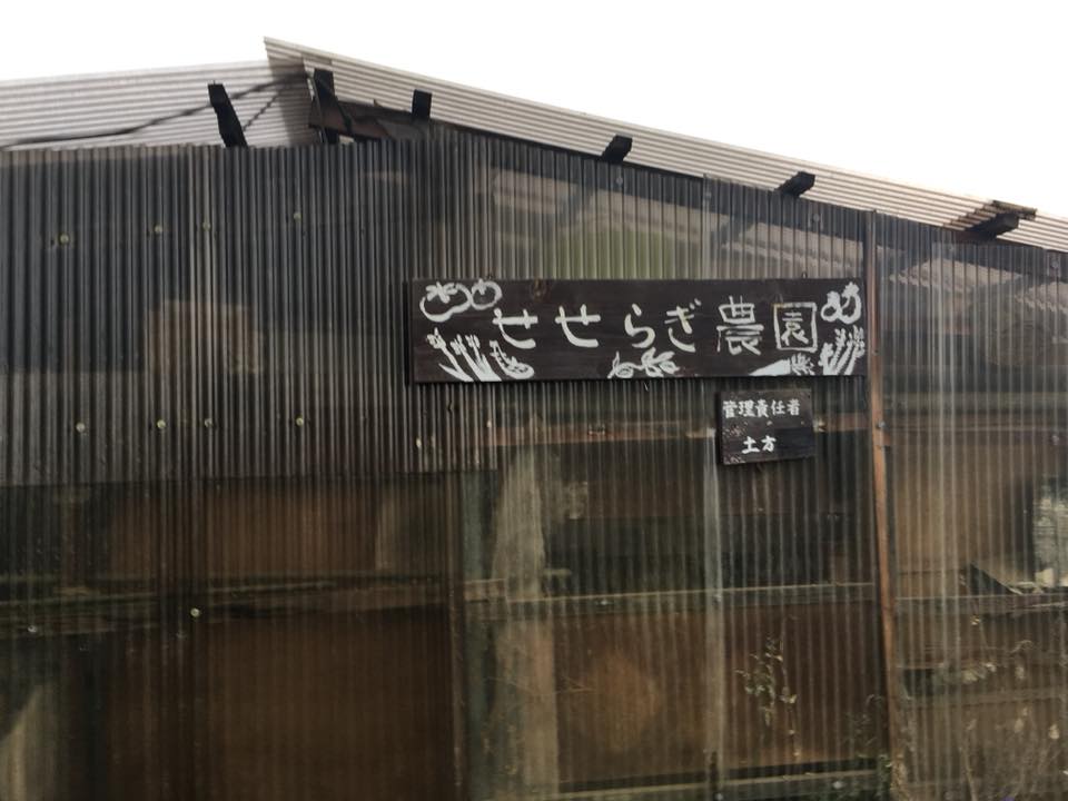 f:id:hatakai802:20181231164825j:plain