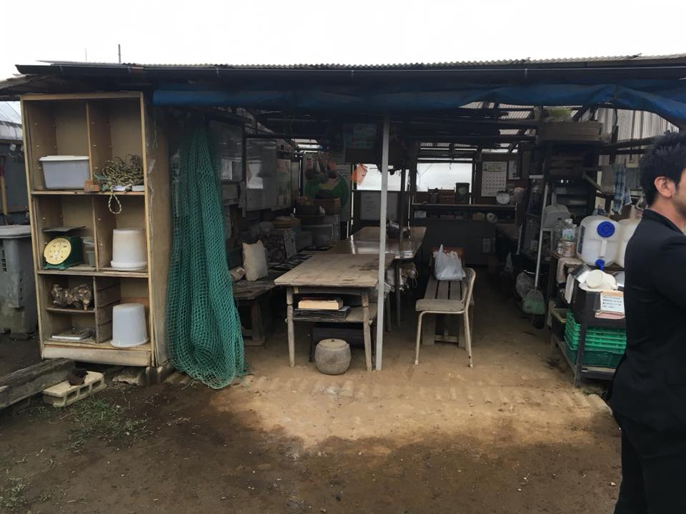 f:id:hatakai802:20181231165033j:plain