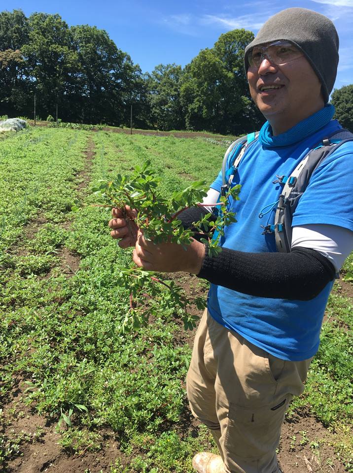 f:id:hatakai802:20181231193038j:plain