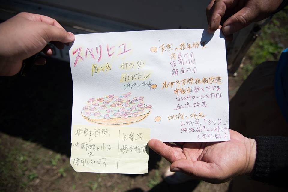 f:id:hatakai802:20181231193228j:plain