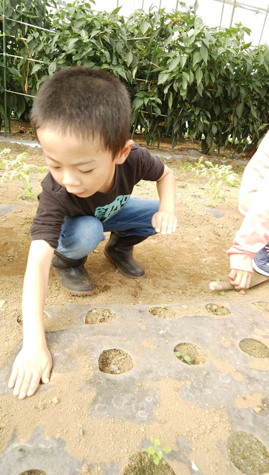 f:id:hatakai802:20190109222346j:plain