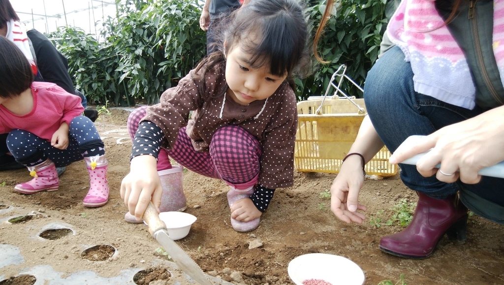 f:id:hatakai802:20190109222358j:plain