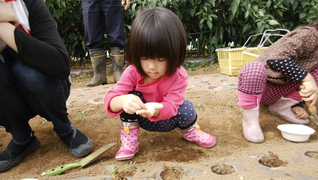 f:id:hatakai802:20190109222416j:plain