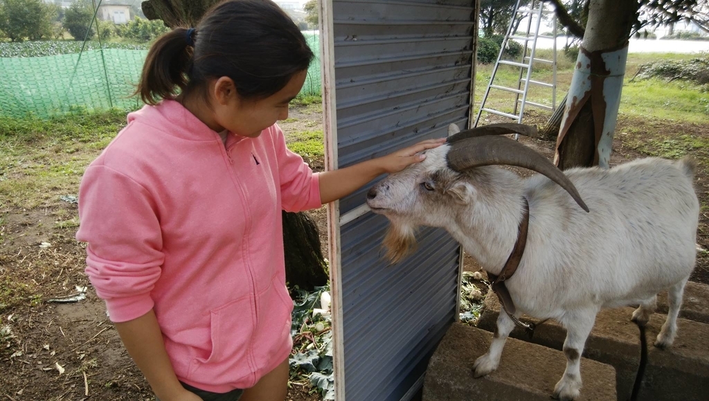 f:id:hatakai802:20190109222457j:plain