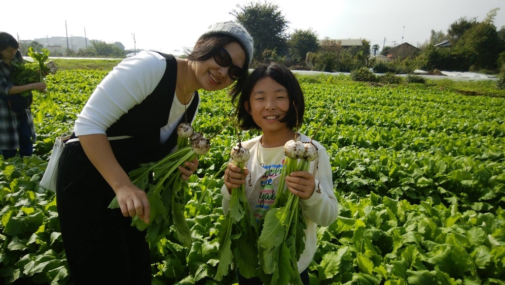 f:id:hatakai802:20190109222729j:plain