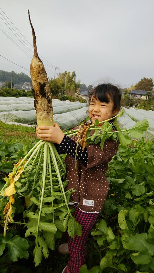 f:id:hatakai802:20190109222752j:plain