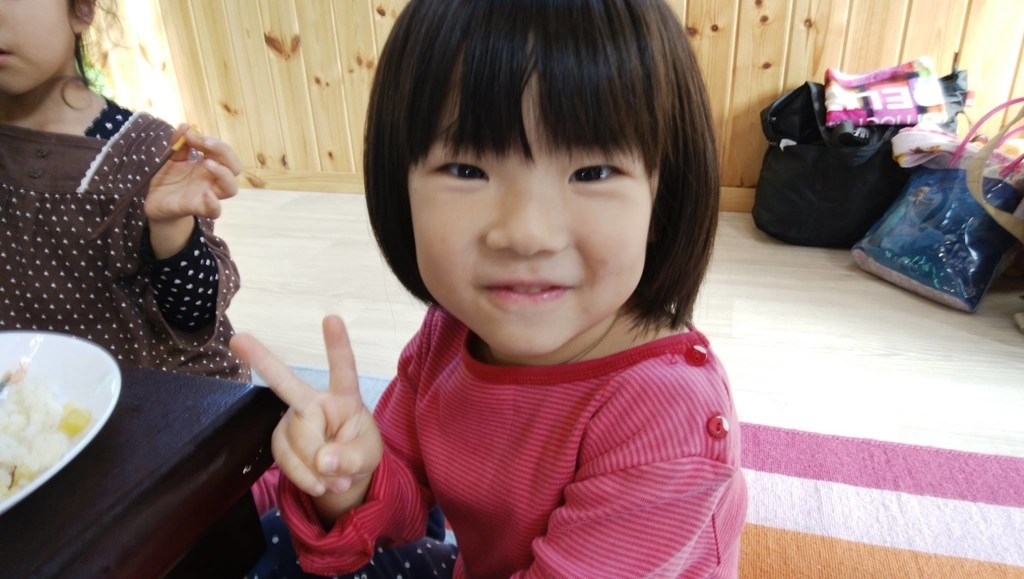 f:id:hatakai802:20190109222825j:plain