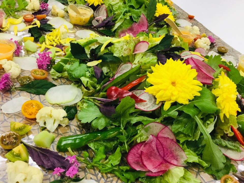 f:id:hatakai802:20190110200309j:plain f:id:hatakai802:20190110200309j:plain