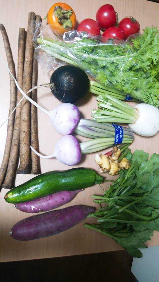 f:id:hatakai802:20190110204153j:plain