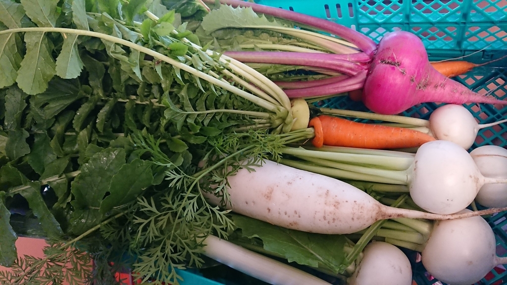 f:id:hatakai802:20190110210158j:plain