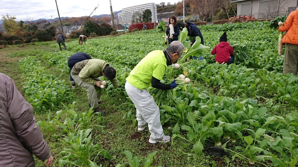 f:id:hatakai802:20190110210316j:plain