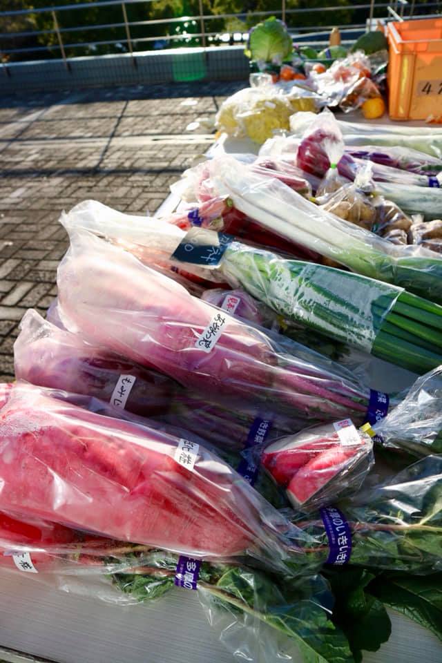 f:id:hatakai802:20190110223641j:plain