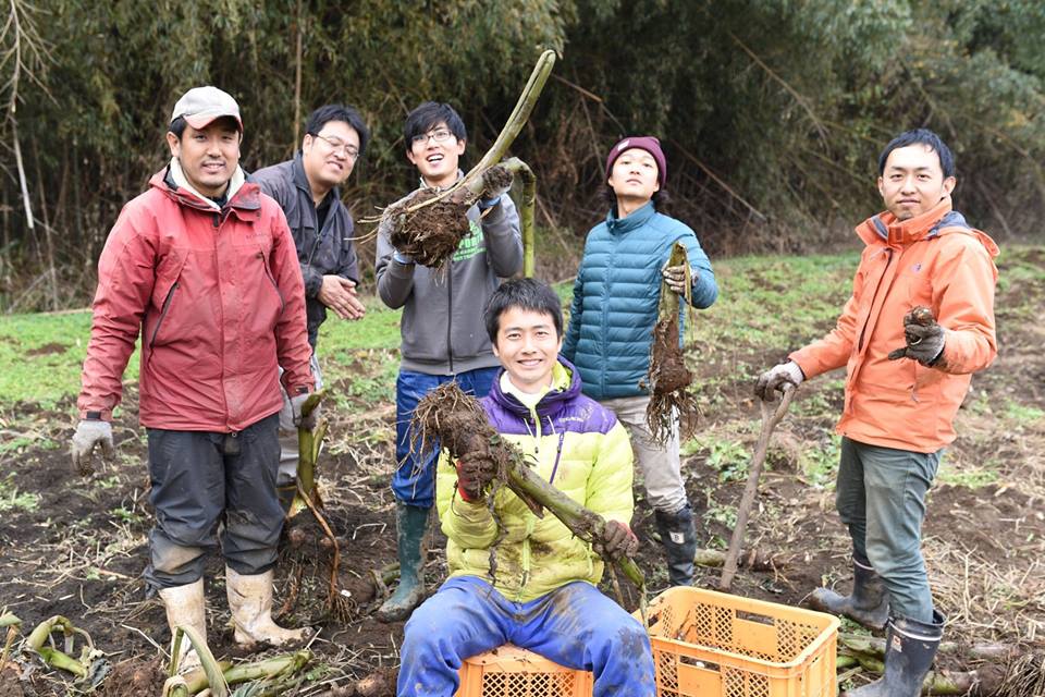 f:id:hatakai802:20190111215228j:plain