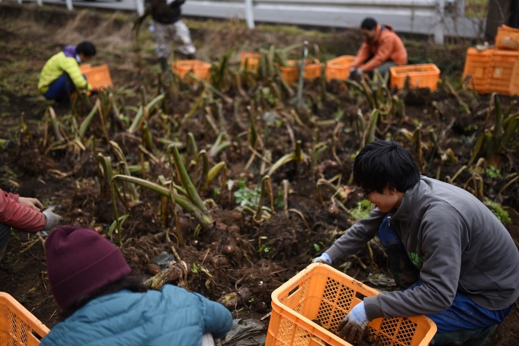 f:id:hatakai802:20190111215317j:plain