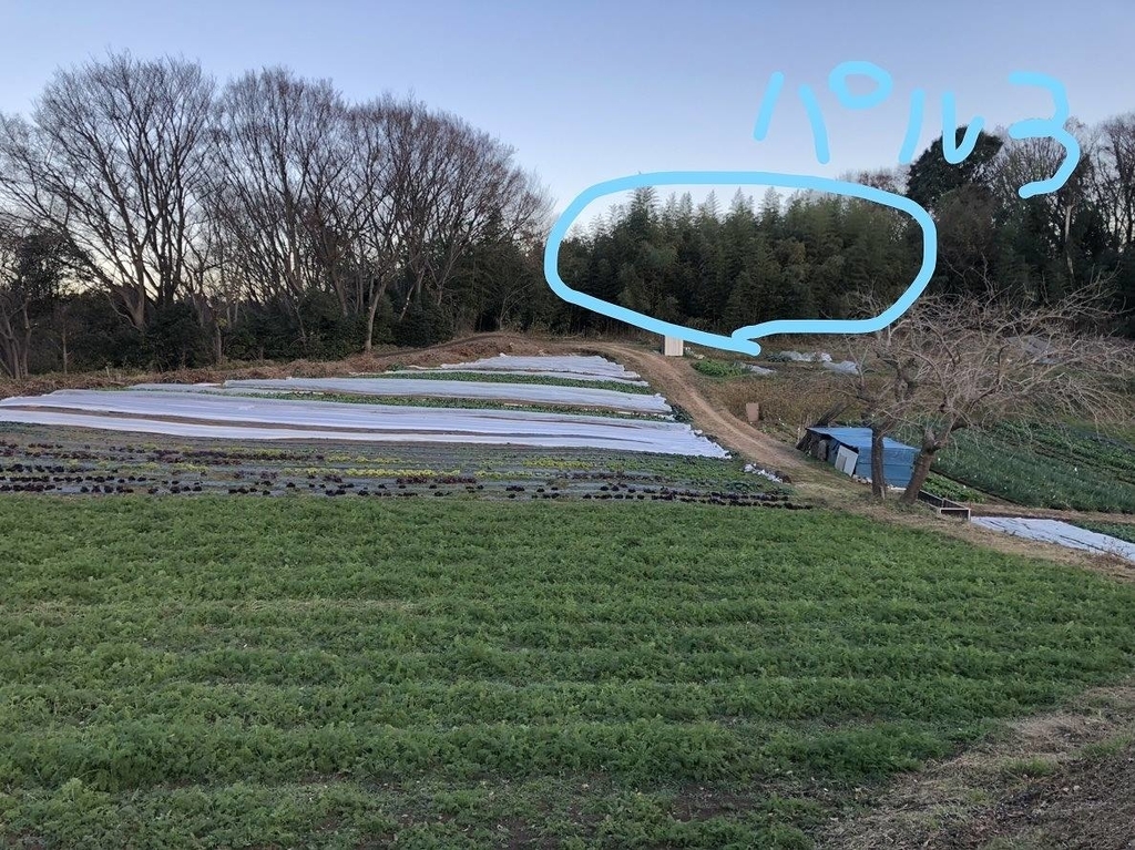 f:id:hatakai802:20190111215605j:plain
