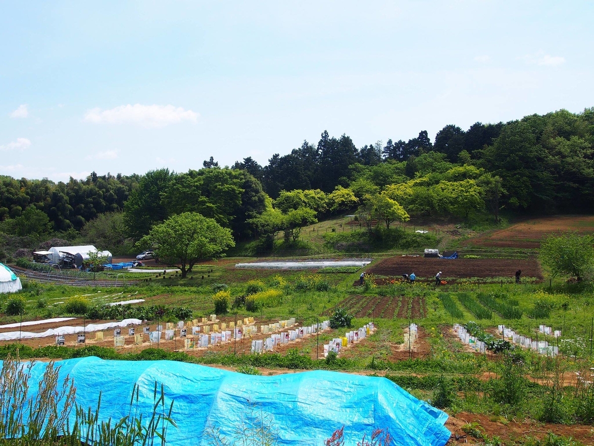 f:id:hatakai802:20190404151614j:plain