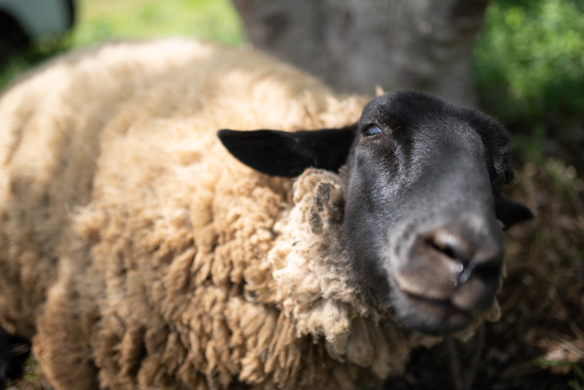 f:id:hatakai802:20190510123227j:plain